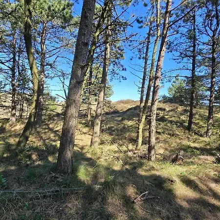 Feriehus 8 Person In Romo *